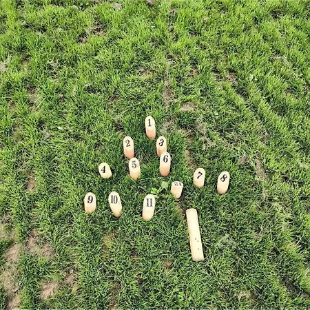 De France - La Thibaudiere Dom wakacyjny *