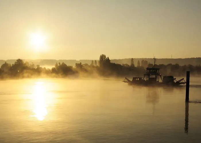Gite Gites De France - La Thibaudiere *